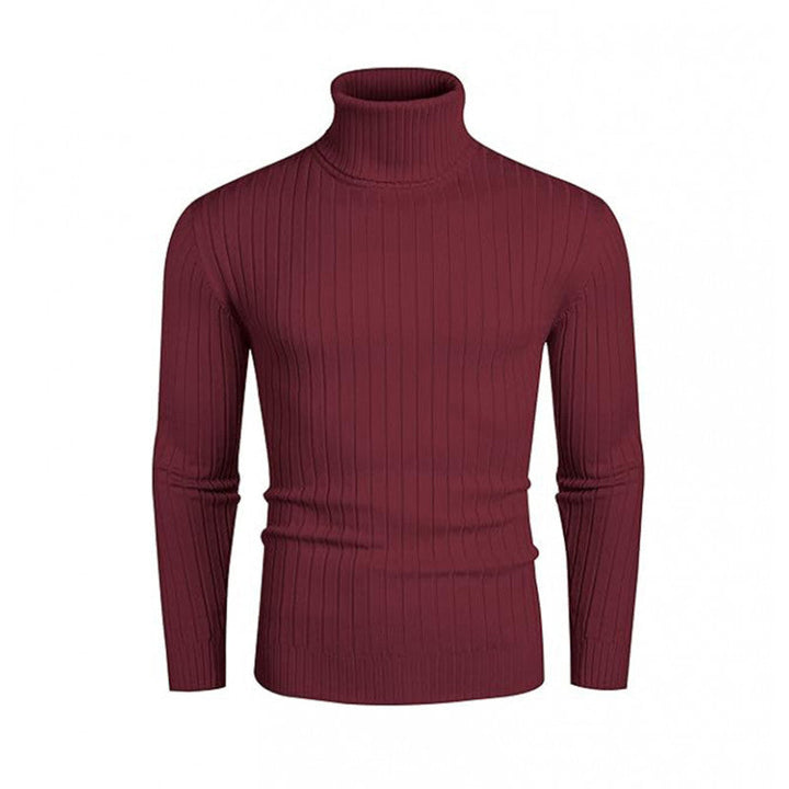 Rhys | Men's Ribbed Fine Knit Roll Neck Jumper Slim Fit